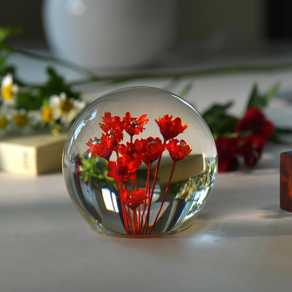 Daisy Gift 3D Crystal Ball for Her Women 2.56'' Red Daisies Gifts for Girl Mom with Lighting Base