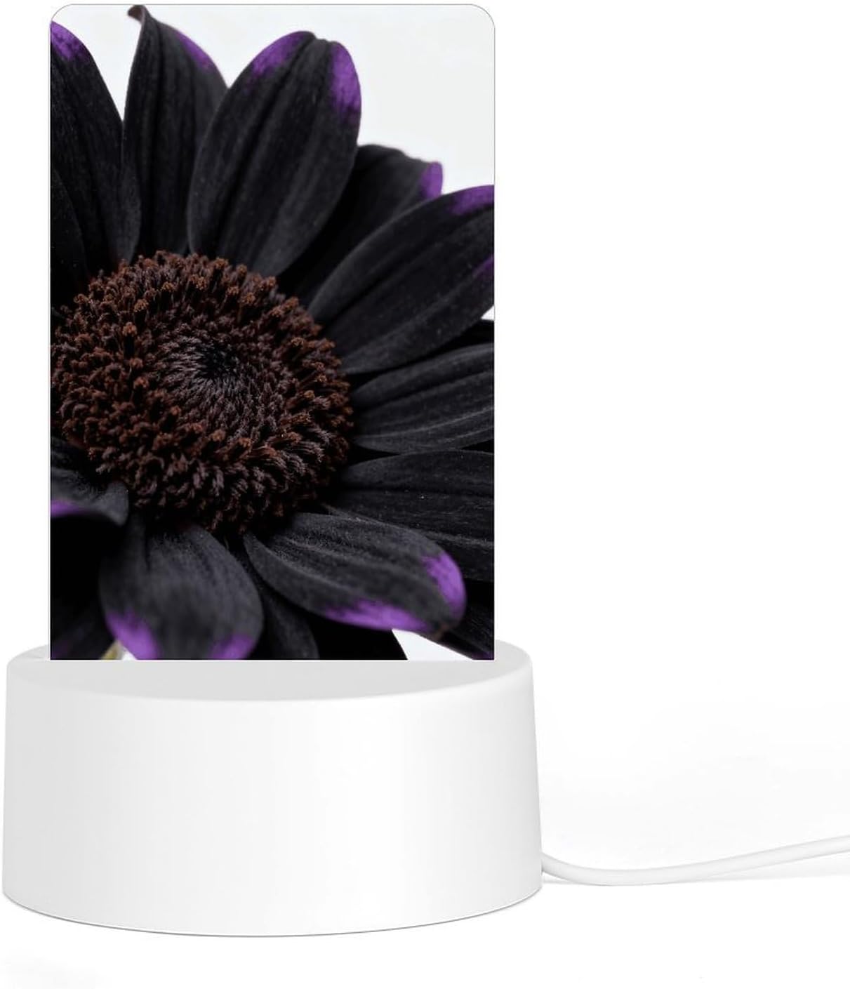 Black Daisy Night Light Designed Cute Acrylic Lamp Elegantly Soft Glow Led Bedside Light Plug Into Wall Nightlights Adjustable Brightness for Bathroom, Hallway, Bedroom