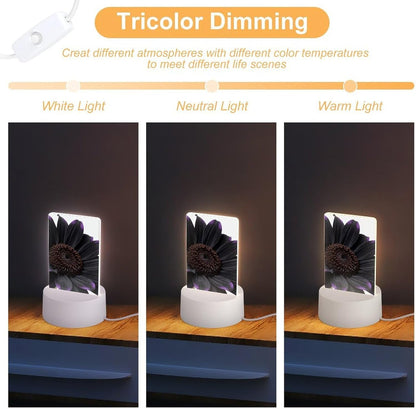 Black Daisy Night Light Designed Cute Acrylic Lamp Elegantly Soft Glow Led Bedside Light Plug Into Wall Nightlights Adjustable Brightness for Bathroom, Hallway, Bedroom