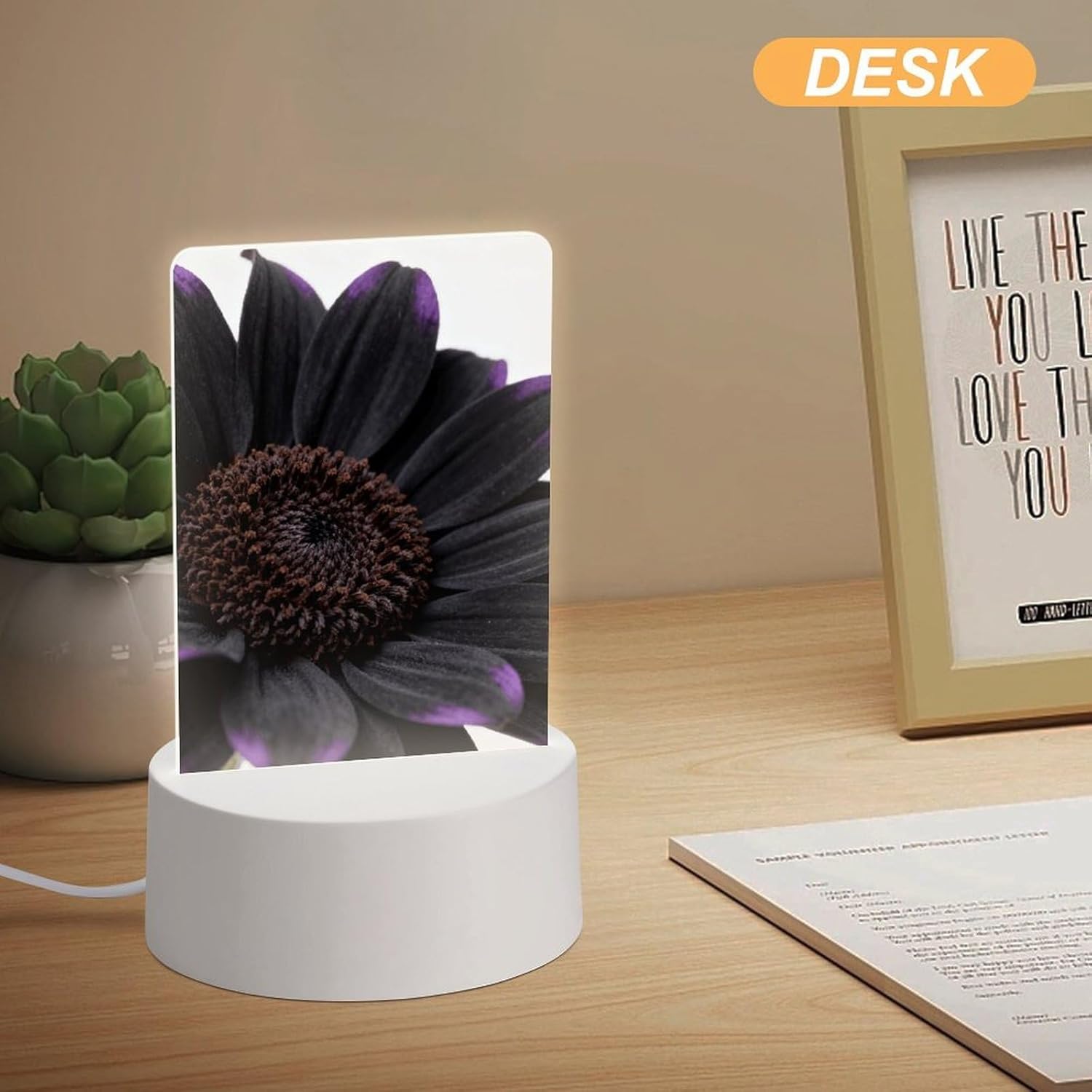 Black Daisy Night Light Designed Cute Acrylic Lamp Elegantly Soft Glow Led Bedside Light Plug Into Wall Nightlights Adjustable Brightness for Bathroom, Hallway, Bedroom